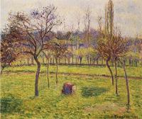 Pissarro, Camille - Apple Trees in a Field